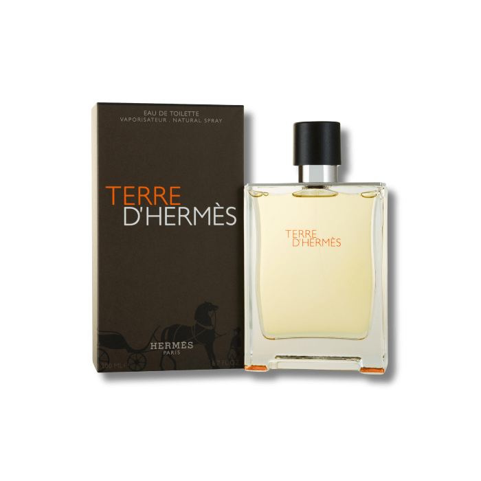 Hermès Terre d'Hermès Eau de Toilette 200ml Spray